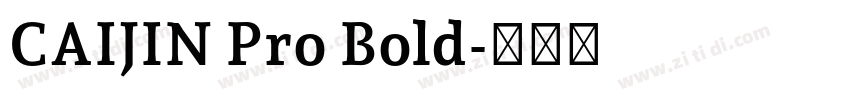 CAIJIN Pro Bold字体转换